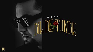 Dil De Tukde Official Audio A Kay  Pendu Boyz  Latest Punjabi Songs 2024 [upl. by Sharleen]