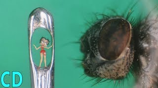 5 Smallest Things and Man Made Objects in the World  2016 [upl. by Genevieve]