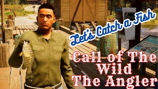 Let’s Catch a Fish  Call of the Wild The Angler™ Japan Fishing Reserve  RTX 3050 Ti Gameplay [upl. by Elyc]