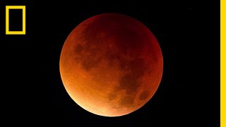 Lunar Eclipse 101  National Geographic [upl. by Adnael]