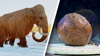 Mammoth Meatball Created With Extinct DNA [upl. by Brandenburg]