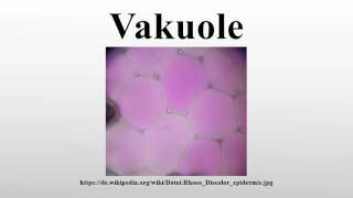 Vakuole [upl. by Jillene]