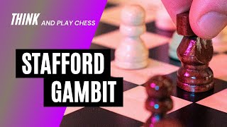 Stafford Gambit in the Petrovs Defense  Chess [upl. by Ynottirb]