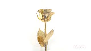 Infinity Rose  24K Gold Dipped Rose in Australia [upl. by Leind]