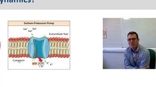 Chemical Thermodynamics Lecture 15 [upl. by Aivatco]