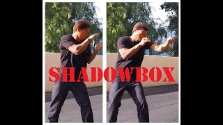 FIT VID 30  SHADOWBOXING 14 [upl. by Balliol596]