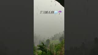 Its june again 🌧🌧बरखा 💚minivlog sukoon naturelovers [upl. by Nellek601]