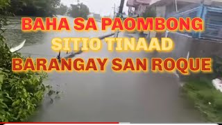 BAHA SA PAOMBONG BULACAN [upl. by Ibmat]