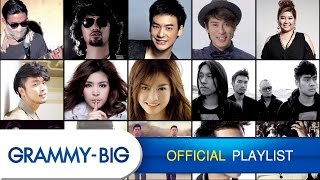 รวมเพลงฮิตฟังสบายๆ  MP3 Hits Playlist Vol4 GRAMMY BIG [upl. by Llehsyar]