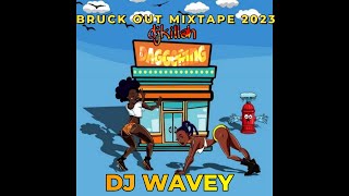 DAGGERING LADIES DANCEHALL MIX 2023 ROZE DON SpiceLincoln 3dotkartelAidonia yung bredda DJ WAVEY [upl. by Eryt957]