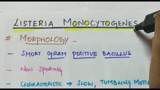 Listeria monocytogenes  Microbiology  Handwritten notes [upl. by Hebbe]