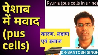 What is Pus cells in Urine in hindi  Normal Range  Pyuria Causes amp Treatment [upl. by Eadith]