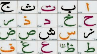 Alif Baa Taa  Qaida Noorania Lesson 1  Arabic Alphabet  Noorania Qaida Alif Baa  By Barakta [upl. by Norel]