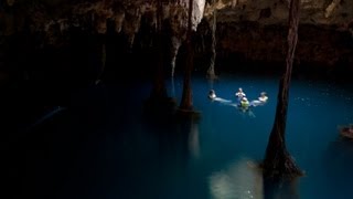 The Secrets of Cenotes [upl. by Oloapnaig964]