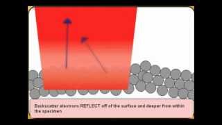 How a Scanning Electron Microscope Workswmv [upl. by Range]