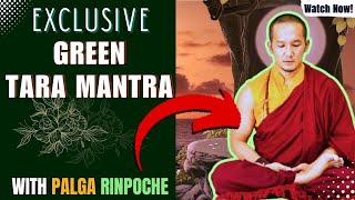 Green Tara Mantra chanting by Palga Rinpoche 108 Times [upl. by Cortie989]