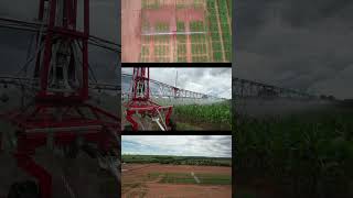 Compilado de vídeos  IRRIGABRASIL irrigação agro irrigation shorts [upl. by Isac]