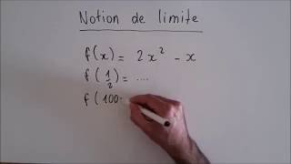 Notion de limite [upl. by Aneloj]