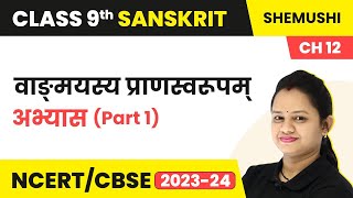 Class 9 Sanskrit Chapter 12 Shemushi  Vangmanah Pranswarupam  Abhyas Part 1 [upl. by Oswal976]