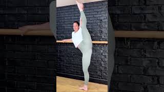 Morning Yoga Stretching Forearm Stand shorts 9 [upl. by Aicenat]