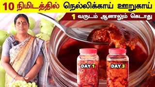 ஒரு வருடம் வரை கெட்டுப்போகாத நெல்லிக்காய் ஊறுகாய்  Amla Pickle Recipe in Tamil  Nellikai oorugai [upl. by Llehsram655]