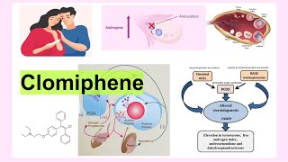 clomiphene [upl. by Nilreb]