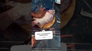 Pamphlet fish favorite food fish trending ytshorts shorts viralvideo trending [upl. by Cloe]