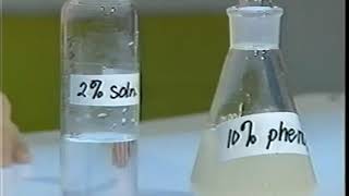 PhenOLS vs AlcohOLS  DEMONSTRATION [upl. by Odo]