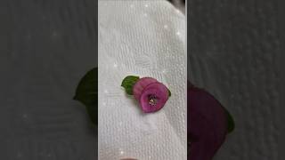 orecchino rosa e basilico usa e getta 😄viralvideo tricks easy fypシ゚viral reels instagram fy [upl. by Auqenet260]