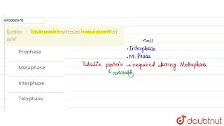 Tubulin protein is synthesized in which phase of cell cycle  12  NEET MOCK TEST 21  BIOLOGY [upl. by Case]