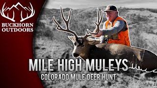 Buckhorn Outdoors  Mile High Muleys  Colorado Mule Deer Hunt [upl. by Nilad76]