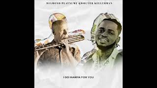 Diamond Platnumz amp Wouter Kellerman  Pounds amp Dollars Lyric Video [upl. by Nyllewell749]