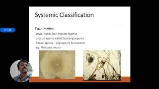 Introduction to medical Mycology [upl. by Tychon]