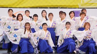 山口県立大学よさこい部奄美連合萩組『星導』 📍九州がっ祭 二の丸広場メイン会場 20240323T1436 [upl. by Samantha937]