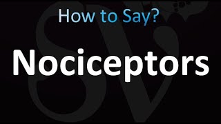 How to Pronounce Nociceptors correctly [upl. by Normi]