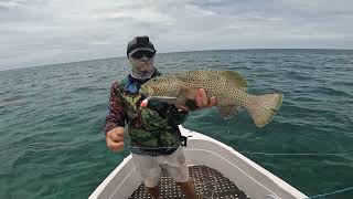 Saltwater fly fishing session  Axiom IIX Saltwater fly fishing [upl. by Niltiac748]