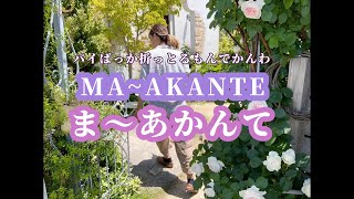 MAーAKANTE〜まーあかんて〜 [upl. by Tonina]