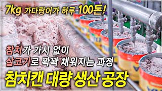 참치캔은 3개월 뒤에 드세요 엄청난 규모 하루 100톤 가시만 277개 있는 가다랑어가 살코기만 참치캔에 빈틈없이 꽉꽉 채워지는 과정ㅣ참치캔 대량 생산 공장│골라듄다큐 [upl. by Aniral]