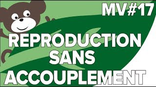 Reproduction Animaux Sans Accouplement MV 17SVT CollègeMathrix [upl. by Cash]