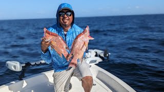 The Search for Hogfish Snappers in Tampa Bay [upl. by Leggat445]