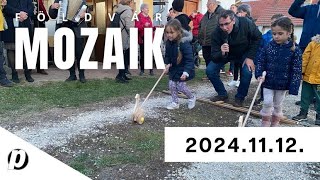 FÖLDVÁR MOZAIK  20241112 [upl. by Benzel]