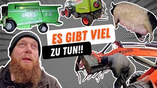 FarmVLOG918  Mitte Dezember kommt der Mähdrescher raus [upl. by Mccandless]