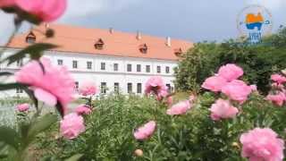 Дубенський замок запрошує Welcome to Dubno castle [upl. by Yssej]