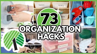 73 Dollar Tree Organization Hacks From a Pro Get your house organized FAST [upl. by Bary829]