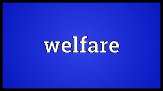 Welfare Meaning [upl. by Tu]