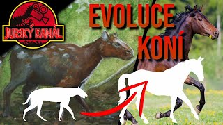 Evoluce KONÍ  Jurský Kanál [upl. by Nibas638]