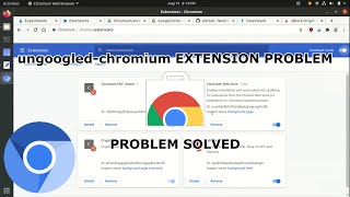 ungoogled chromium EXTENSION PROBLEM [upl. by Sou]