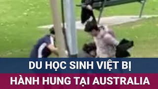 Một du học sinh Việt Nam bị hành hung tại Australia hiện đang trong tình trạng hoảng loạn  VTC Now [upl. by Patterman]