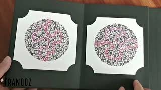 Unboxing Original Ishihara Color Blindness Test 38 plates Japan Printed [upl. by Irrahs10]