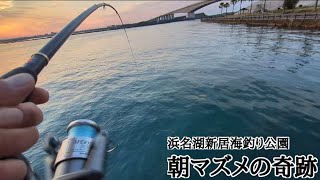 最新浜名湖釣果情報📢【浜名湖釣り】🎣まさかのラストでドラグが止まらない🐟 [upl. by Severen]